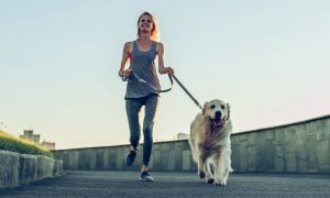 deportes con perros